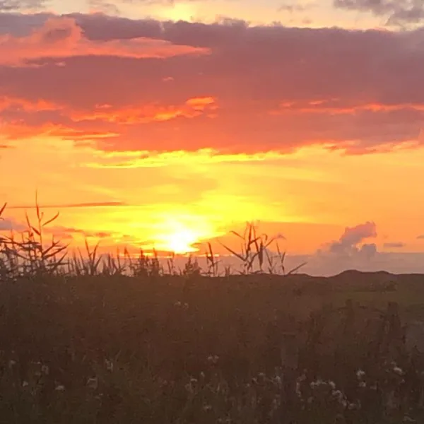 boerderijcamping-texel-texel-svojl