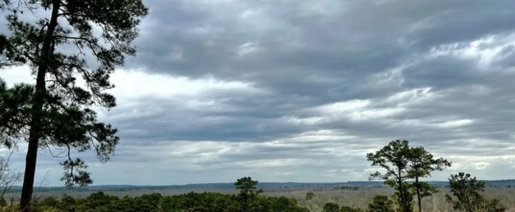Neches Bluff Overlook