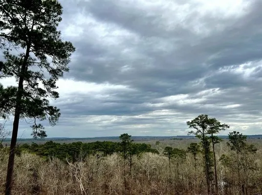 neches-bluff-overlook-weches-t7ywf