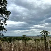 Neches Bluff Overlook