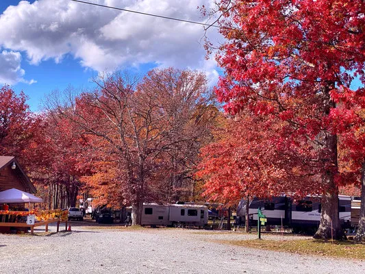benners-meadow-run-camping-cabins-farmington-s8lo8