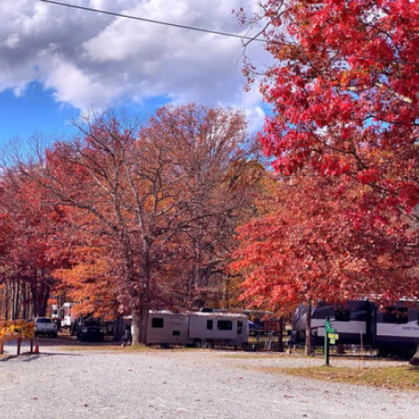 benners-meadow-run-camping-cabins-farmington-s8lo8