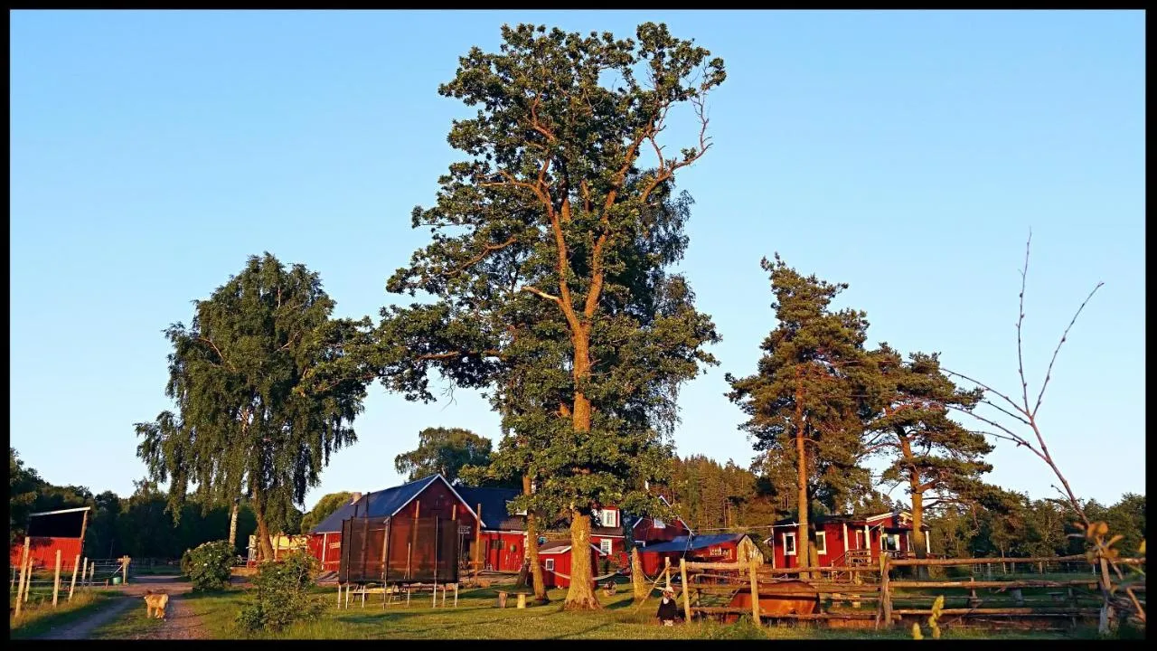 eddy-lou-ranch-asige-oa8se