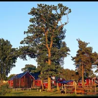 eddy-lou-ranch-asige-oa8se