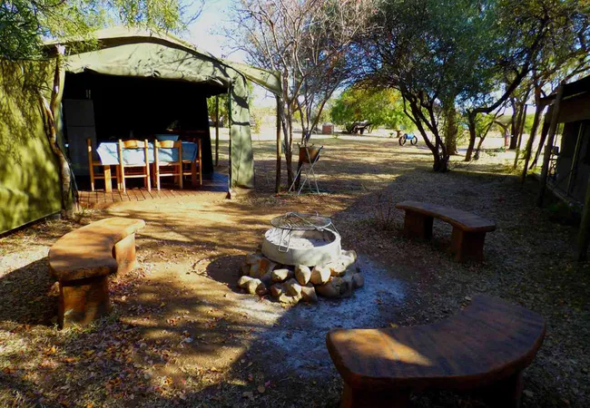 thorn-tree-bush-camp-dinokeng-game-reserve-northern-gauteng-9ckoa