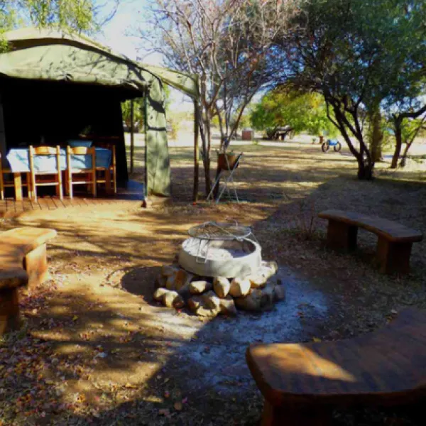 thorn-tree-bush-camp-dinokeng-game-reserve-northern-gauteng-9ckoa
