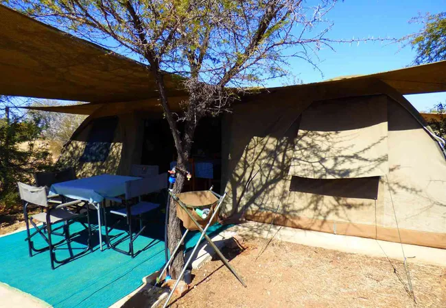 thorn-tree-bush-camp-dinokeng-game-reserve-northern-gauteng-d9ci5