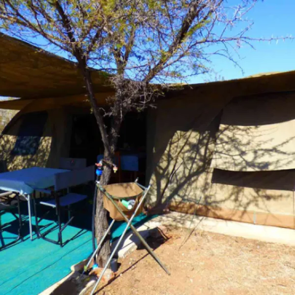 thorn-tree-bush-camp-dinokeng-game-reserve-northern-gauteng-d9ci5