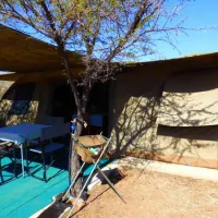 thorn-tree-bush-camp-dinokeng-game-reserve-northern-gauteng-d9ci5