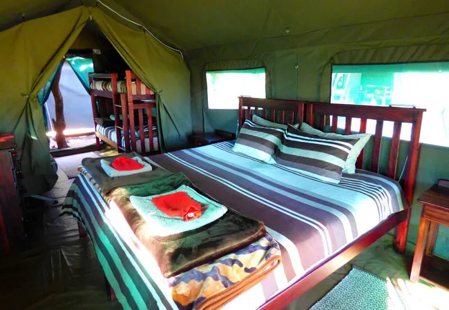 thorn-tree-bush-camp-dinokeng-game-reserve-northern-gauteng-ga3s0