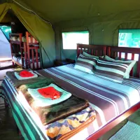 thorn-tree-bush-camp-dinokeng-game-reserve-northern-gauteng-ga3s0