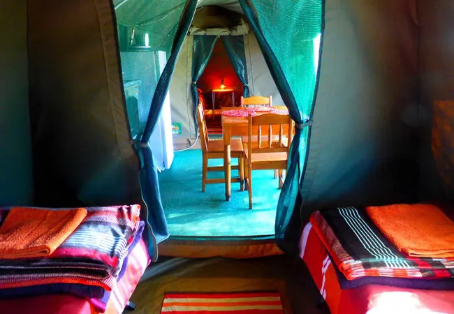 thorn-tree-bush-camp-dinokeng-game-reserve-northern-gauteng-hiqqo