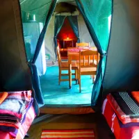 thorn-tree-bush-camp-dinokeng-game-reserve-northern-gauteng-hiqqo