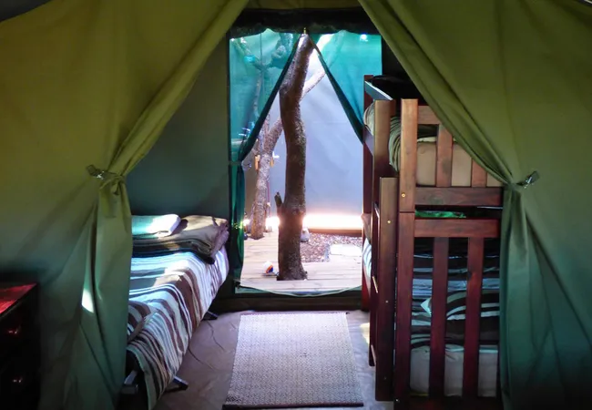 thorn-tree-bush-camp-dinokeng-game-reserve-northern-gauteng-lyq0g