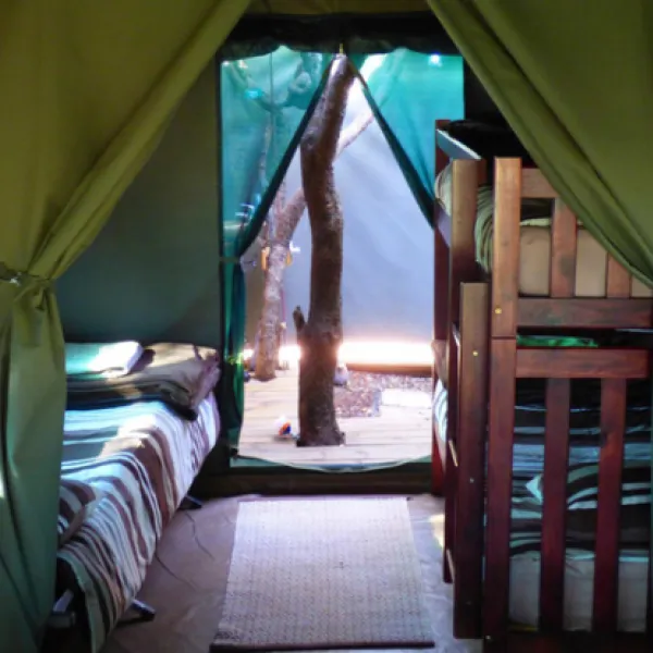 thorn-tree-bush-camp-dinokeng-game-reserve-northern-gauteng-lyq0g