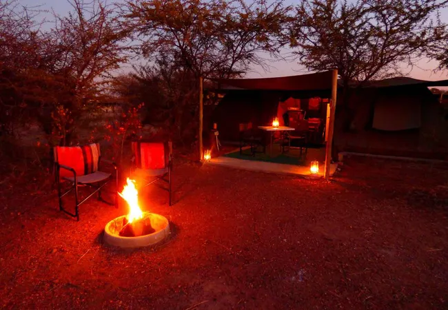 thorn-tree-bush-camp-dinokeng-game-reserve-northern-gauteng-wraen