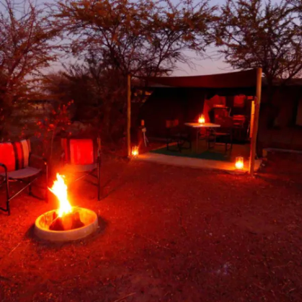 thorn-tree-bush-camp-dinokeng-game-reserve-northern-gauteng-wraen