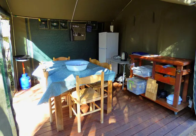 thorn-tree-bush-camp-dinokeng-game-reserve-northern-gauteng-ypt0x
