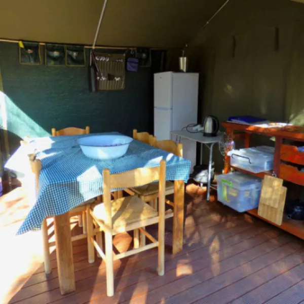 thorn-tree-bush-camp-dinokeng-game-reserve-northern-gauteng-ypt0x