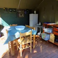 thorn-tree-bush-camp-dinokeng-game-reserve-northern-gauteng-ypt0x