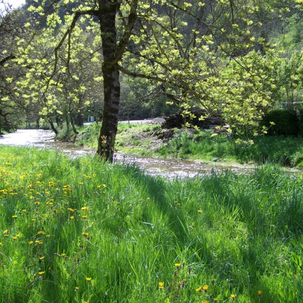 municipal-de-la-toupe-baume-les-messieurs-2cn5c