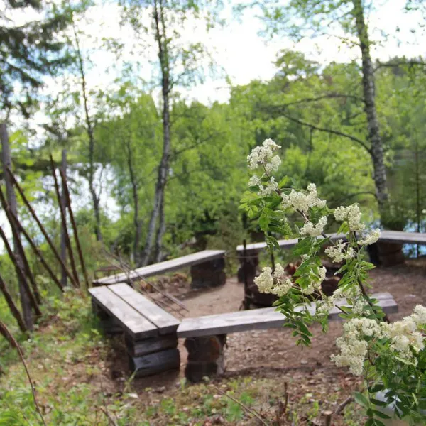 wanha-autti-camping-autti-v6o6m