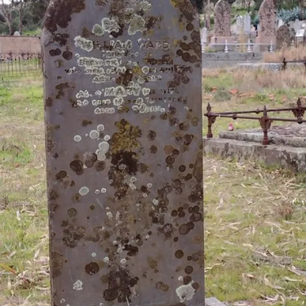 maldon-historic-butts-reserve-campground-tarrengower-hvgsz