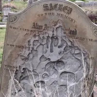 maldon-historic-butts-reserve-campground-tarrengower-jxpta