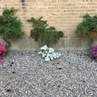 camperparken-haderslev-iwyfj