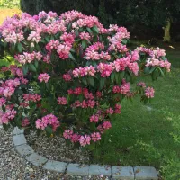 camperparken-haderslev-judqc