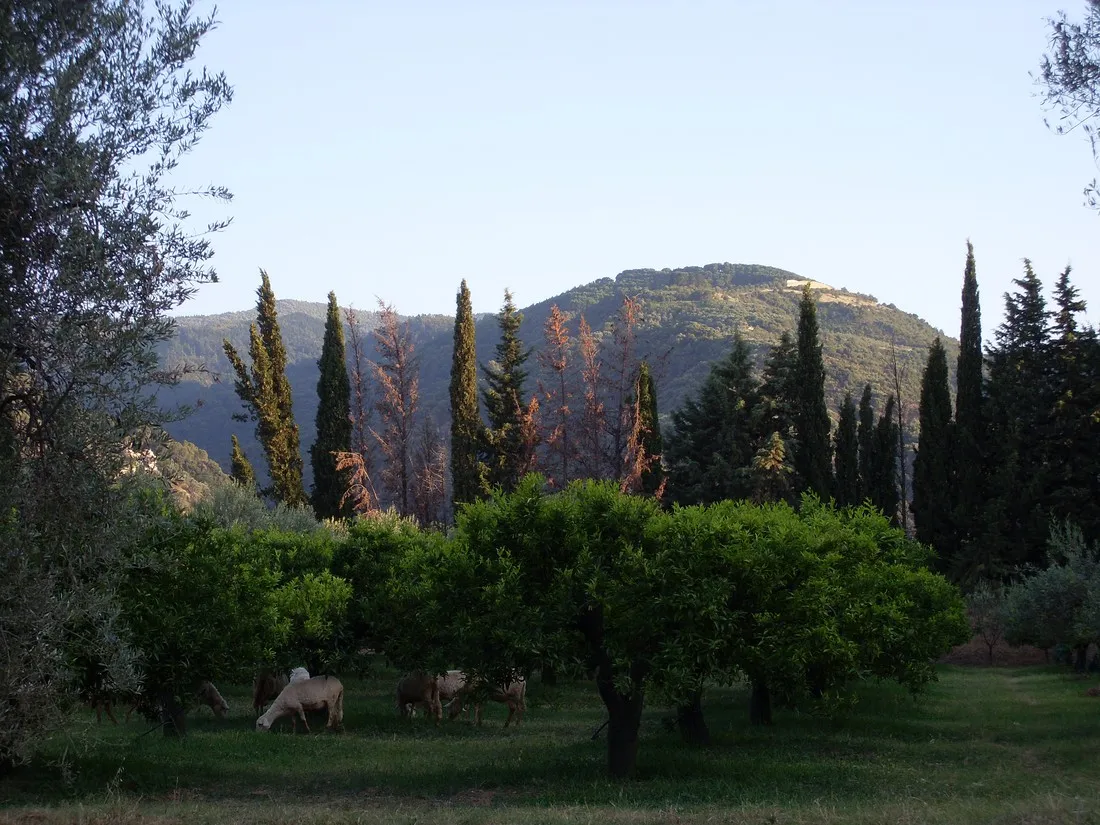 agricampegguio-salinella-rossano-c74ko