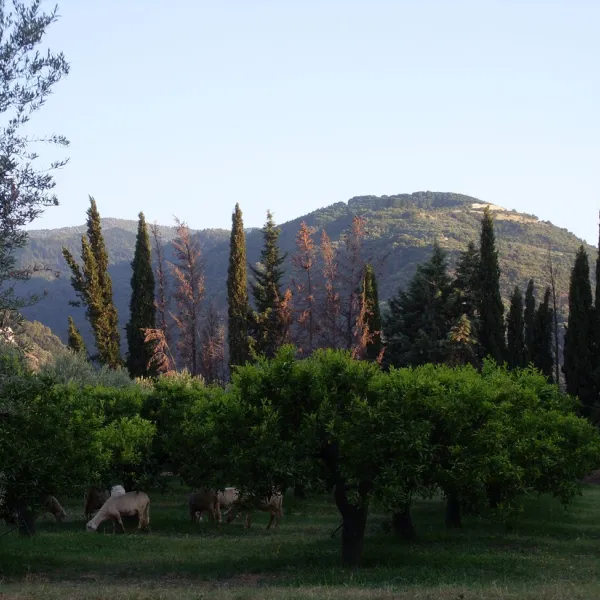 Agricampegguio Salinella