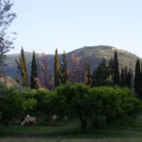 Agricampegguio Salinella