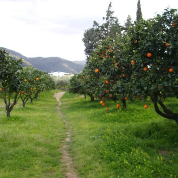 agricampegguio-salinella-rossano-enghy