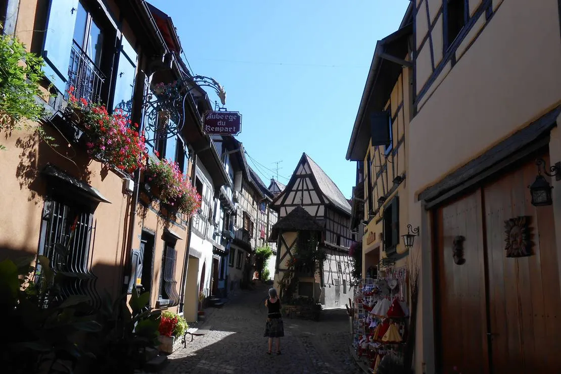 camping-de-lile-du-rhin-biesheim-djun4
