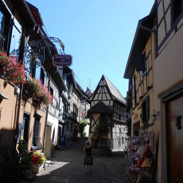 camping-de-lile-du-rhin-biesheim-djun4