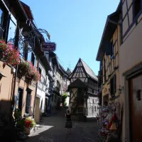 camping-de-lile-du-rhin-biesheim-djun4
