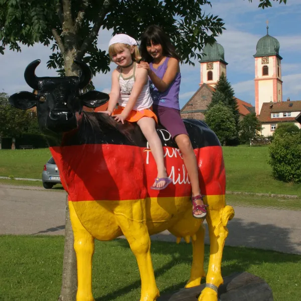 camping-de-lile-du-rhin-biesheim-lezoa