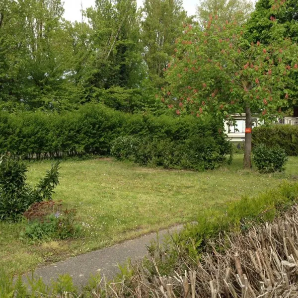 camping-de-lile-du-rhin-biesheim-lfzhx