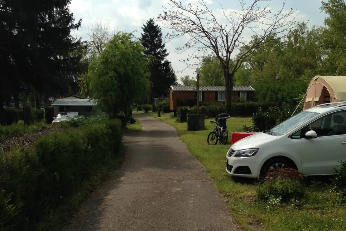 camping-de-lile-du-rhin-biesheim-ndjze