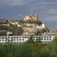 camping-de-lile-du-rhin-biesheim-svgpt