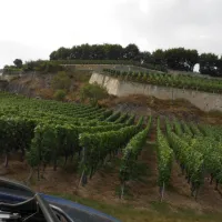 camping-de-lile-du-rhin-biesheim-wnjmx