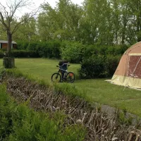 camping-de-lile-du-rhin-biesheim-x1oay