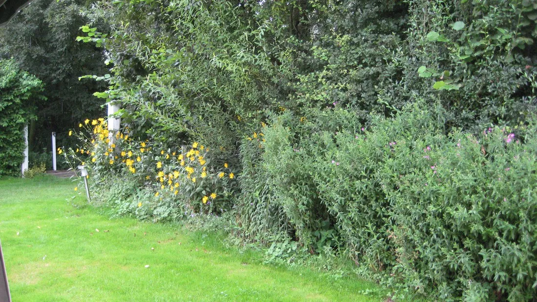 tuinenburg-zaamslag-bhyzs