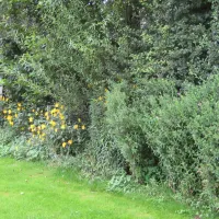 tuinenburg-zaamslag-bhyzs