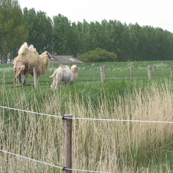 tuinenburg-zaamslag-uo3sv