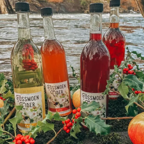 fossmoen-frukt-cider-bjerkreim-ow2cb