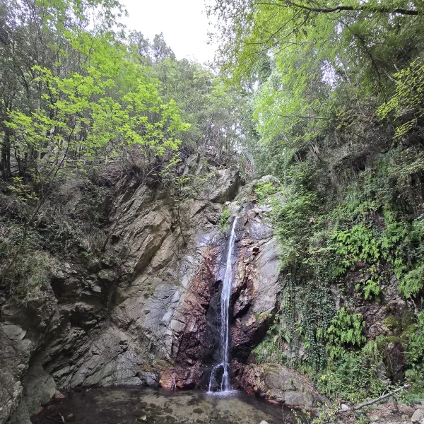 Cascata Campanaro Zagarise CZ