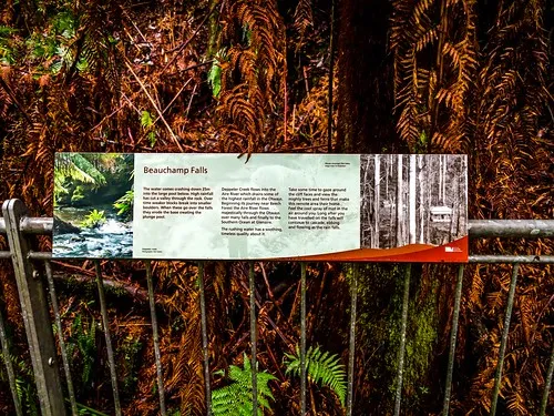beauchamp-falls-reserve-campground-beech-forest-ipojs