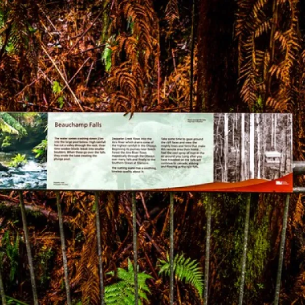 beauchamp-falls-reserve-campground-beech-forest-ipojs
